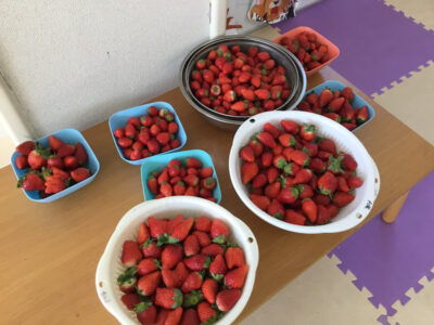 o1080081014889512714 400x300 - ♪1月30日(土)♪toiro戸塚