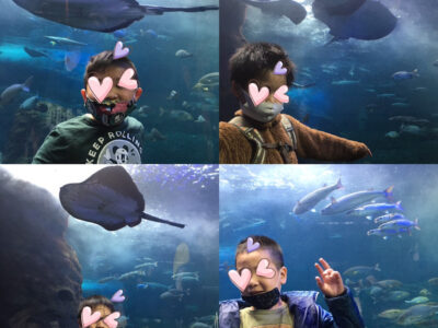 o1080108014872260223 400x300 - ♪12月26日(土)♪toiro戸塚