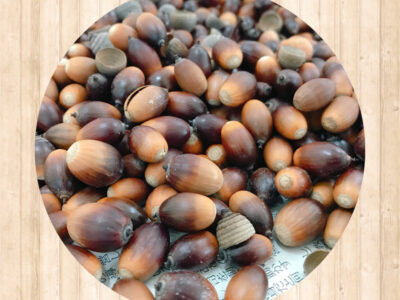 ☆11月18日toiro大船☆ o1800180014853458323 400x300 - ☆11月18日toiro大船☆