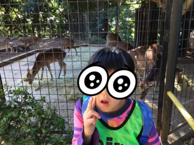 toiro大倉山♪夢見ヶ崎動物公園 o2557191814853222575 400x300 - toiro大倉山♪夢見ヶ崎動物公園