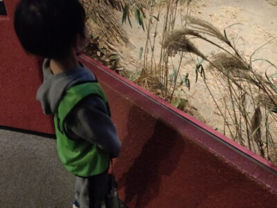 o0810108014914013188 400x300 - 3月13日(土) 平塚市博物館 ☆toiro鳥が丘☆