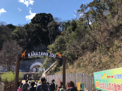3月14日(日)◎toiro本郷台◎ o1078144014910272128 400x300 - 3月14日(日)◎toiro本郷台◎