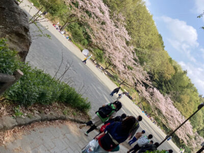 4月1日(日) ◎toiro 本郷台◎ o1080144014920811461 400x300 - 4月1日(日) ◎toiro 本郷台◎