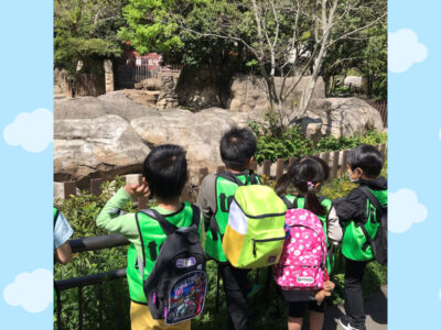 ☆4月19日toiro大船 o1800180014928699909 400x300 - ☆4月19日toiro大船