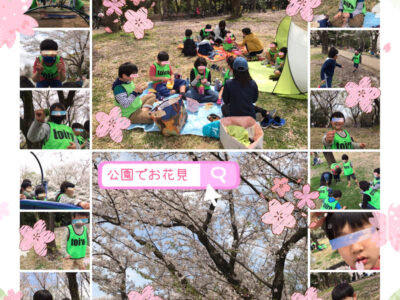 toiro都筑ふれあいの丘★公園でお花見★ o1995199514918522885 400x300 - toiro都筑ふれあいの丘★公園でお花見★