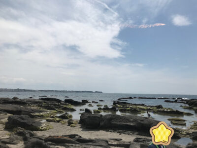 o2556191714933314964 400x300 - ４月28日（水）☆toiro金沢文庫44☆