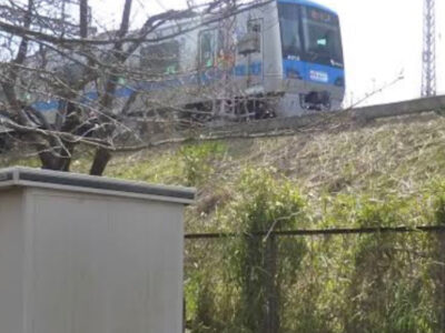 6月21日 ⭐︎toiro藤沢⭐︎ o0750104014961005787 400x300 - 6月21日 ⭐︎toiro藤沢⭐︎