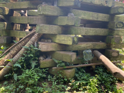 ◎7月10日(土) toiro東戸塚◎ o1078144014970397569 400x300 - ◎7月10日(土) toiro東戸塚◎