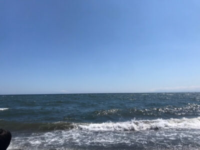 o1080081014946687157 400x300 - ♪5月23日(日)♪ toiro戸塚