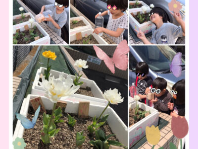 toiro都筑ふれあいの丘★チューリップが咲いたよ★ o1995199514932998385 400x300 - toiro都筑ふれあいの丘★チューリップが咲いたよ★