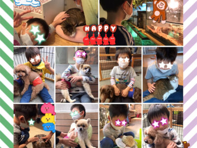 toiro都筑ふれあいの丘★都筑ッズDAY★ o1995199514940250440 400x300 - toiro都筑ふれあいの丘★都筑ッズDAY★