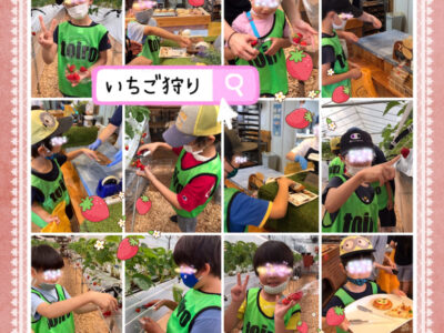 toiro都筑ふれあいの丘★都筑ッズDAY♪イチゴ狩り★ o1995199514960142703 400x300 - toiro都筑ふれあいの丘★都筑ッズDAY♪イチゴ狩り★
