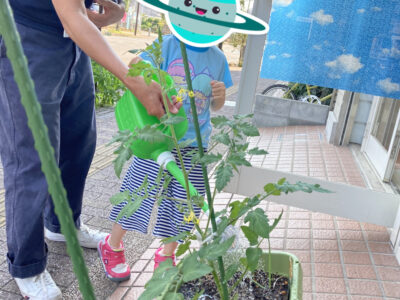 o3024403214957225899 400x300 - toiro伊勢原　６月１４日