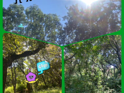 7月27日(火)☆toiro金沢文庫56☆ o0960128014978247385 400x300 - 7月27日(火)☆toiro金沢文庫56☆