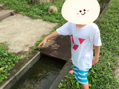 ☆8月27日(金) toiroいずみ中央☆ o1080143814992419568 400x300 - ☆8月27日(金) toiroいずみ中央☆