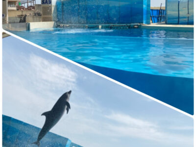 ♡7月26日toiro藤沢♡ o1080144014978101242 400x300 - ♡7月26日toiro藤沢♡