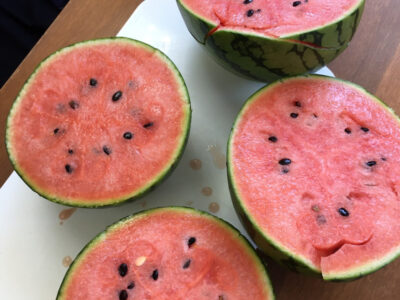 ♪7月23日(金)♪toiro戸塚 o1080144014979414463 400x300 - ♪7月23日(金)♪toiro戸塚