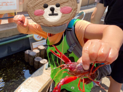 o1080144014982643651 400x300 - 8月5日(木) ●toiro大倉山●