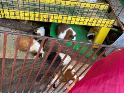 10月19日(火)☆toiro川崎☆ o1078144015018098989 400x300 - 10月19日(火)☆toiro川崎☆