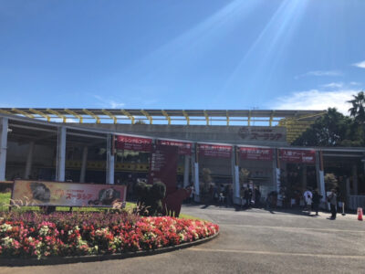 10月24日 ◎toiro本郷台◎ o1080081015021474299 400x300 - 10月24日 ◎toiro本郷台◎