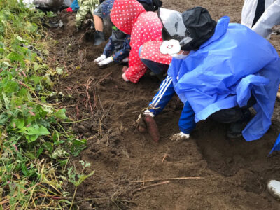 o1080144015018636835 400x300 - ♡10月17日&23日 toiro藤沢合同イベント♡