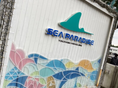 11月21日 ◎toiro本郷台◎ o1032079215034960708 400x300 - 11月21日 ◎toiro本郷台◎