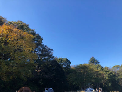 ♧toiro日吉♧  11月13日(土) サンドイッチ作り 公園 o1080081015030828434 400x300 - ♧toiro日吉♧  11月13日(土) サンドイッチ作り 公園