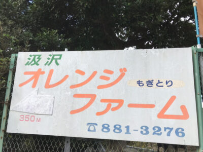 11月14日(土)みかん狩り☆toiro鳥が丘☆ o1080081015037055195 400x300 - 11月14日(土)みかん狩り☆toiro鳥が丘☆