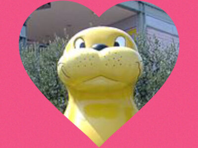 11月23日☆toiro蒔田☆ o1080108015037073389 400x300 - 11月23日☆toiro蒔田☆