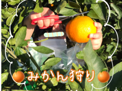 11月27日 toiro都筑ふれあいの丘★みかん狩り★ o1914183315037774130 400x300 - 11月27日 toiro都筑ふれあいの丘★みかん狩り★