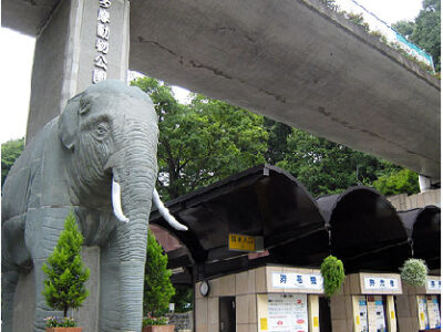 o0417034115040362145 400x300 - 2021.12.07 toiro相模原　in多摩動物公園☆
