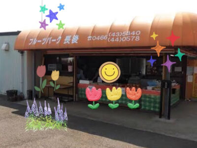 12月5日(日)柿狩り ☆toiro鳥が丘☆ o0640050915046161681 400x300 - 12月5日(日)柿狩り ☆toiro鳥が丘☆