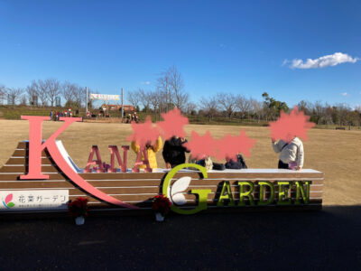 12/18 トイロ平塚 花菜ガーデン o1080081015048622841 400x300 - 12/18 トイロ平塚 花菜ガーデン