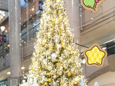 12月14日(火)☆toiro金沢文庫74☆ o1436204715046149997 400x300 - 12月14日(火)☆toiro金沢文庫74☆