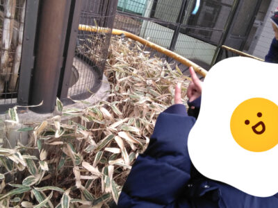 o0810108015060598541 400x300 - ☆toiro川崎第２教室☆