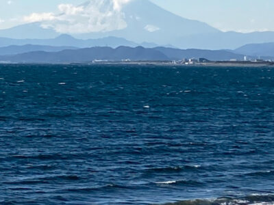 o1078144015063077682 400x300 - ♡1月16日（日）toiro藤沢　合同イベント♡