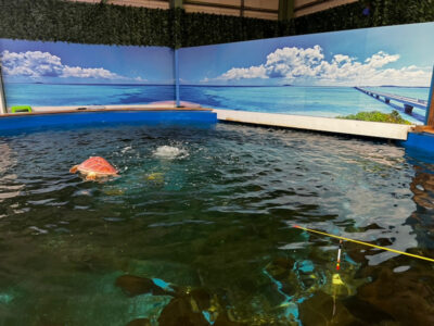 ☆1月22日☆toiro茅ヶ崎☆ o1080081015067224258 400x300 - ☆1月22日☆toiro茅ヶ崎☆