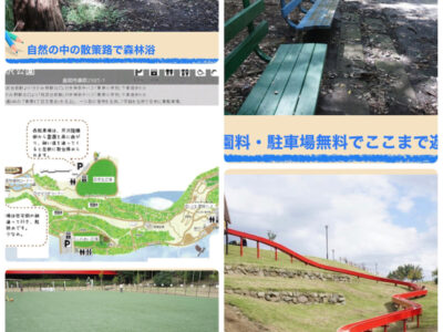 o1920256015066152398 400x300 - 1月22日（土）☆toiro南林間☆第一教室　芹沢公園外出