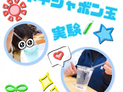 o1080108015079467346 400x300 - ☆2月24日（木）toiro日野☆