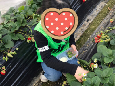 o1915255315078221151 400x300 - 2月20日　toiro南林間　第一教室