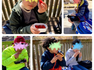 o1080108015084517284 400x300 - 3/5（土）　toiro平塚　幕山公園で山登り！