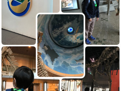 3月29日(火)toiro秦野☆生命の星・地球博物館☆ o0810108015097728658 400x300 - 3月29日(火)toiro秦野☆生命の星・地球博物館☆