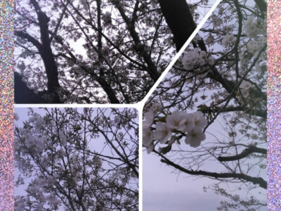 外出イベント 川崎マリエン o0810108015098683793 400x300 - 外出イベント 川崎マリエン