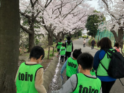 ♧toiro 日吉♧ 2022.3.31 【岸根公園】 o1078144015098910650 400x300 - ♧toiro 日吉♧ 2022.3.31 【岸根公園】