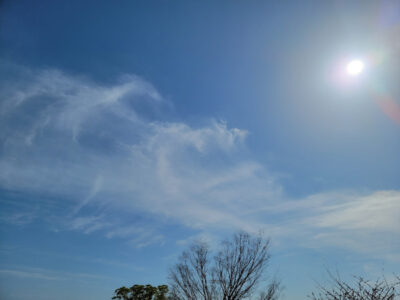 o1080081015098994375 400x300 - 4月6日 ◎toiro本郷台◎