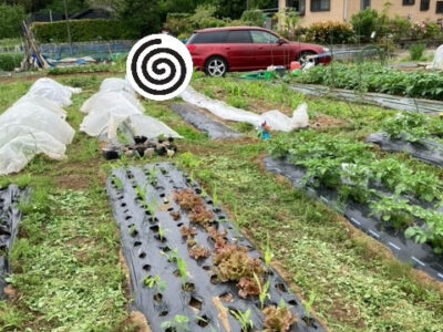 o0480064015111902846 400x300 - toiro伊勢原 ☆畑へ行こう！！☆