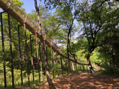 ☆5月4日☆toiro茅ヶ崎☆ o1080081015112768421 400x300 - ☆5月4日☆toiro茅ヶ崎☆