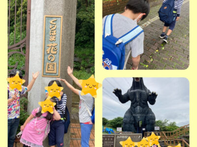 o1080108015117850255 400x300 - ５月１４日　トイロ平塚　「くりはま花の国」