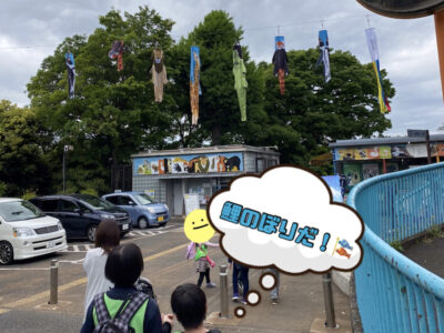 5月8日(日)☆toiro根岸☆野毛山動物園に行こう! o1914197615120605154 400x300 - 5月8日(日)☆toiro根岸☆野毛山動物園に行こう!