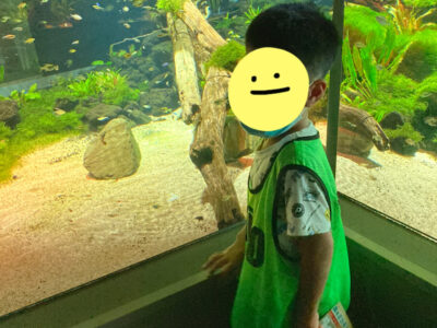 ☆toiro根岸7月18日(月)カワスイ☆ o1915255315148744440 400x300 - ☆toiro根岸7月18日(月)カワスイ☆